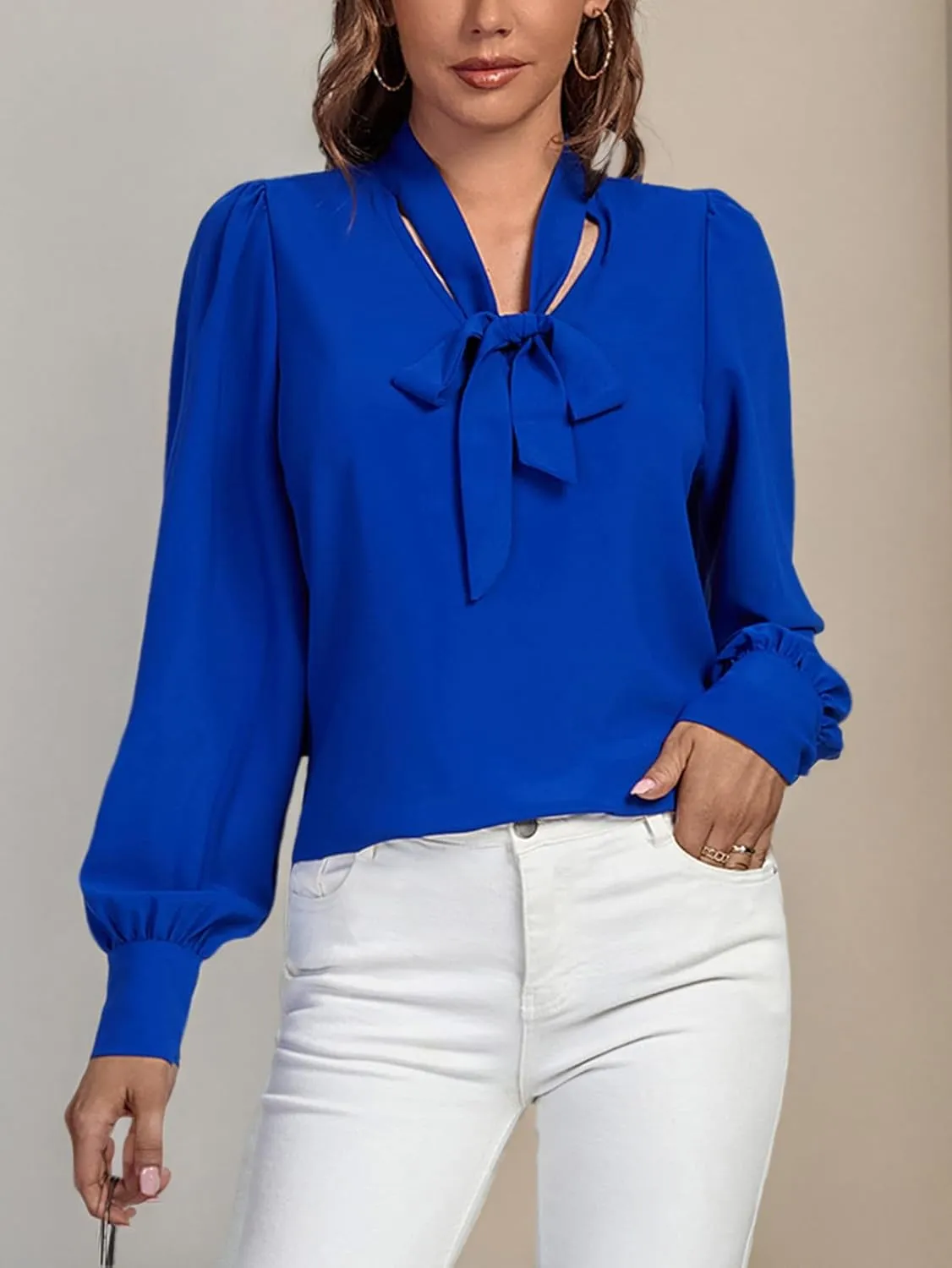 Vrtige Women's Elegant Bow Tie Neck Long Sleeve Blouse Office Top Shirt